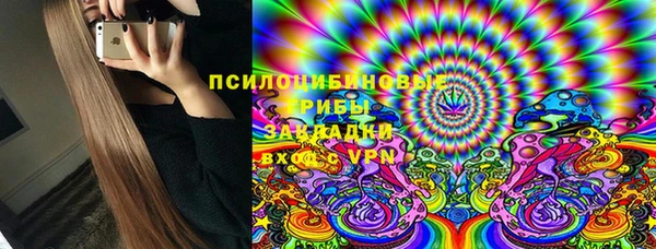 PSILOCYBIN Навашино