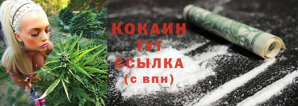 дмт Михайловск