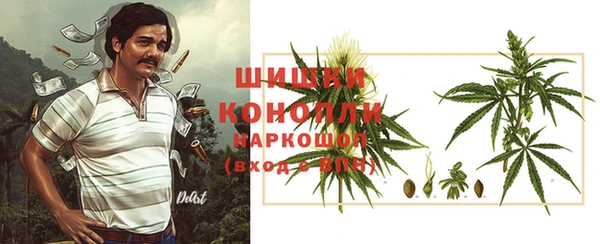 PSILOCYBIN Навашино