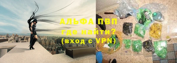 PSILOCYBIN Навашино