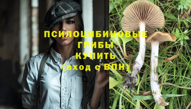 Псилоцибиновые грибы Magic Shrooms  Новая Ляля 